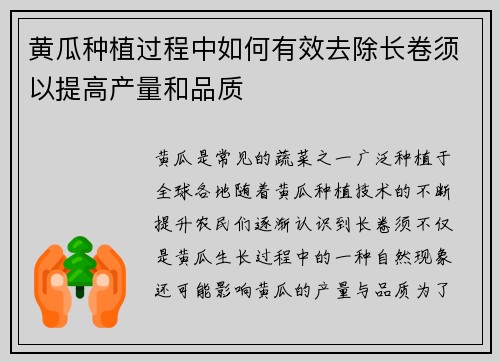 黄瓜种植过程中如何有效去除长卷须以提高产量和品质